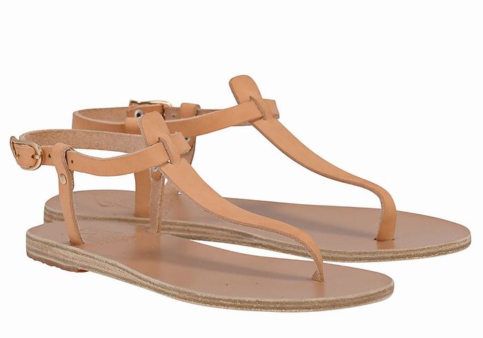 Sandales Bride Arrière Ancient Greek Sandals Lito Flip Flop Leather   | GVN-5958567